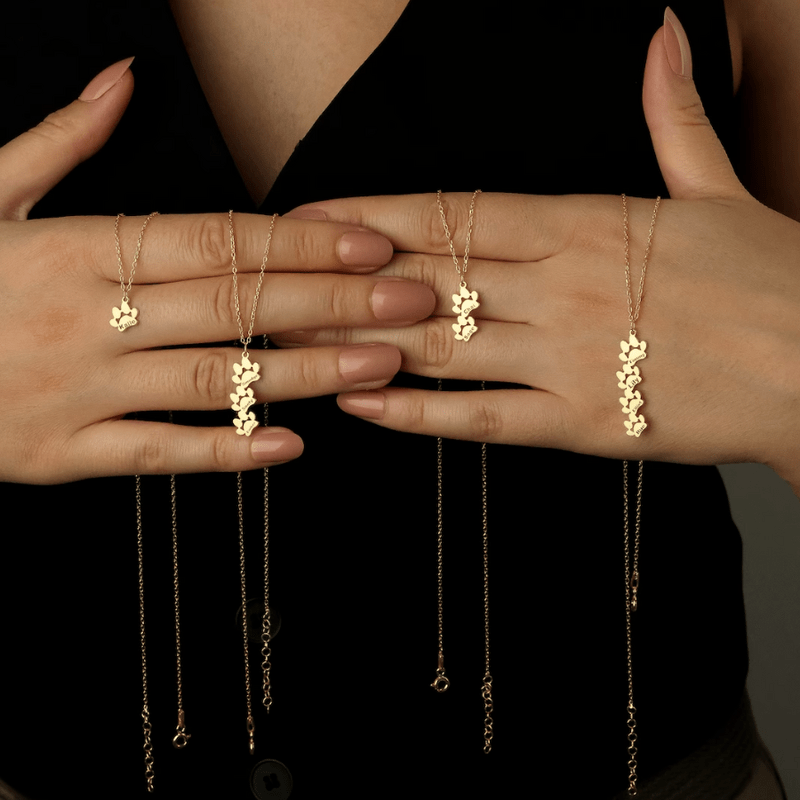 Scotty™ | Pulsera/Collar de Huella Personalizable
