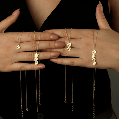 Scotty™ | Pulsera/Collar de Huella Personalizable