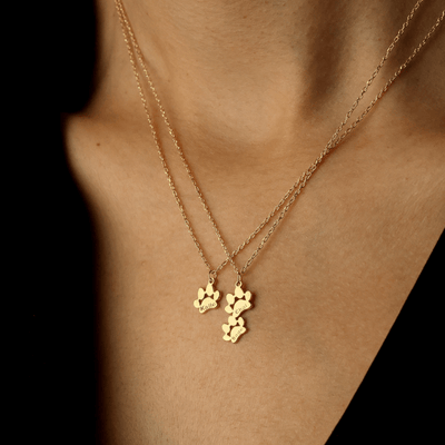 Scotty™ | Pulsera/Collar de Huella Personalizable