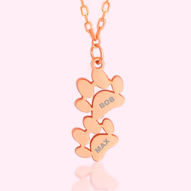 Scotty™ | Pulsera/Collar de Huella Personalizable